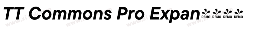 TT Commons Pro Expan字体转换 TT Commons Pro Expan字体转换